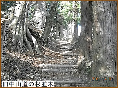 �����R���̐�����