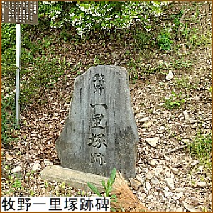 �q��ꗢ�ːՔ�