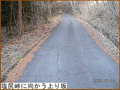 ���K���Ɍ���������