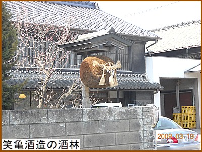 �΋T�𑢂̎��