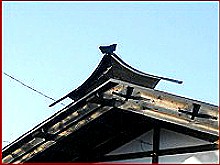 �����ǂ�