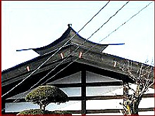 �����ǂ�