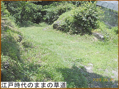 �]�ˎ���̂܂܂̑���