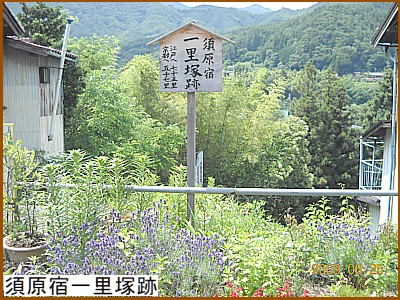 �{���h�ꗢ�ːՕ\��