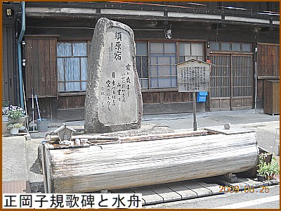 �����q�K�̔�Ɛ��M