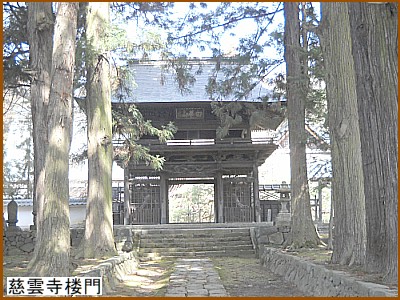 ���_���O��