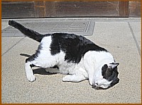 �l�������l�R