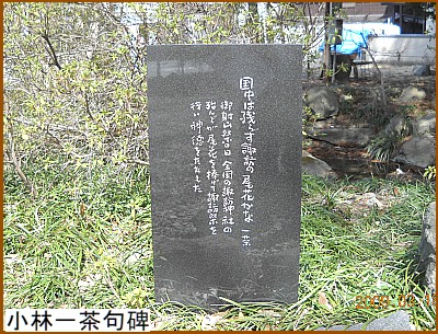 ���шꒃ���