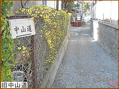 �����R��