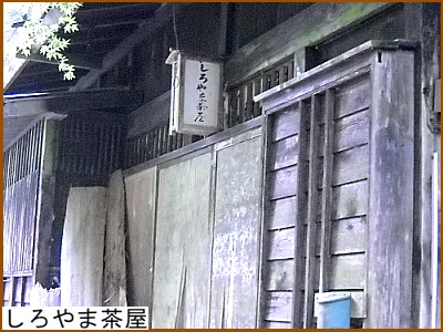 �����ܒ���