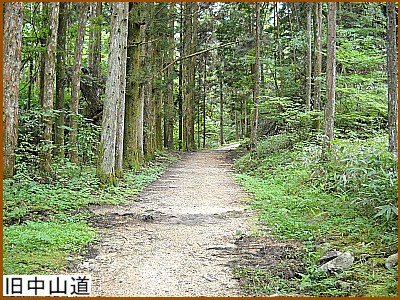 �O�т̒��̋����R��