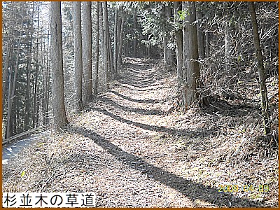 �����؂̑���