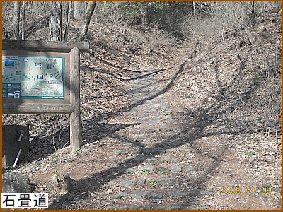 �ޗǈ�h�̒�����