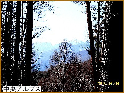 �����A���v�X