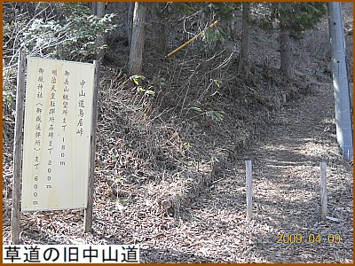 �����̋����R��