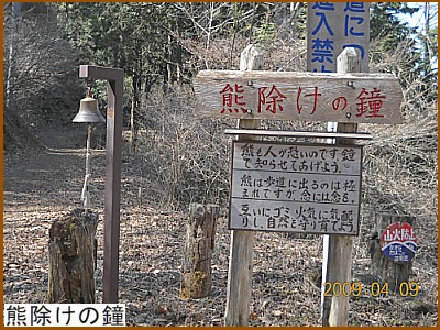 �F�����̏�