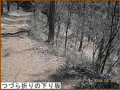 �Â�܂�̉����