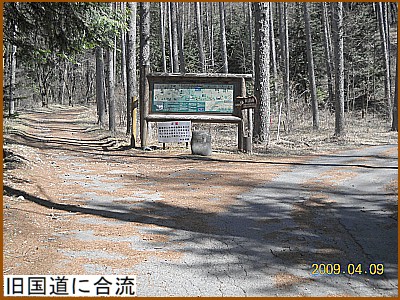 �������ɍ���