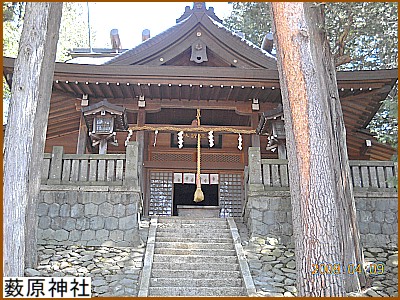 �����_��