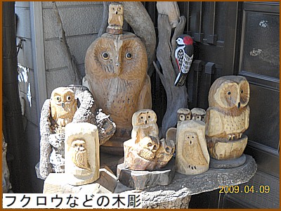 �t�N���E�Ȃǂ̖ؒ�