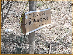 �����R��������\��