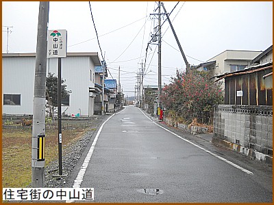 �Z��X�̒��R��