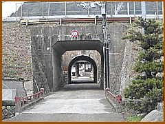 �g���l���̌������ɖ�������������