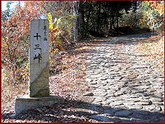 �\�O��������@����萼�\�O����