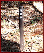 ������W��