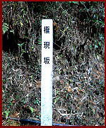 ������W��