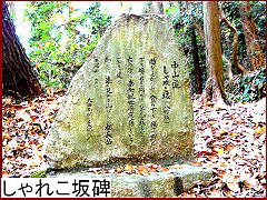 ����ꂱ���