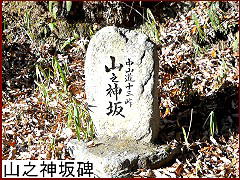 �R�V�_���