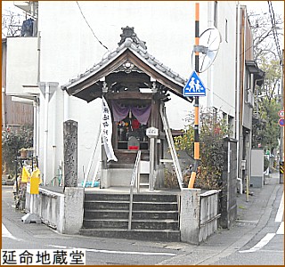 �����n����