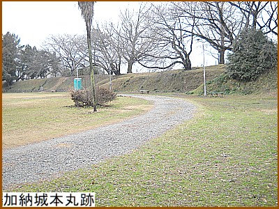 ���[��{�ې�