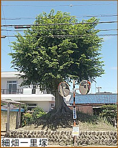 �Ă̍ה��ꗢ��