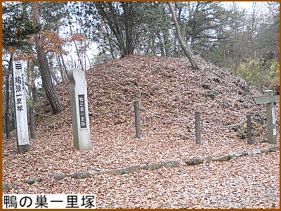 ���̑��ꗢ��