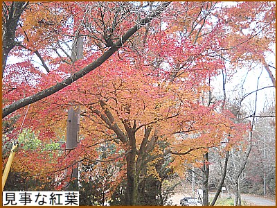 �����ȍg�t