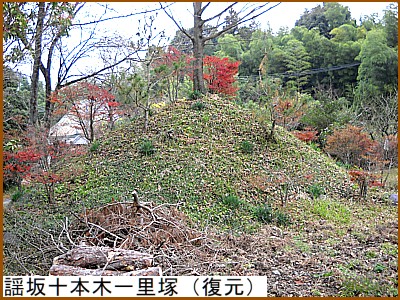 �w��\�{�؈ꗢ�ˁi�����j