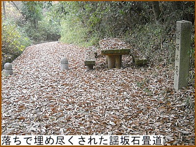 ���t�Ŗ��ߐs�����ꂽ�w��i���Ƃ������j�̐Ώ���