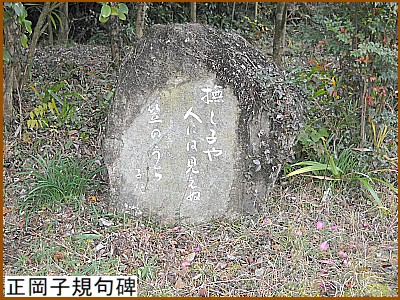 �����q�K���