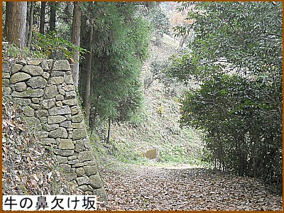 ���̕@������