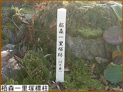 ���X�ꗢ�ːՕW��