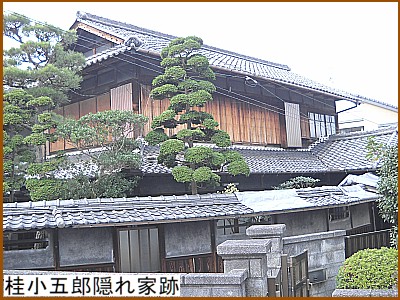 �j���ܘY�B��Ɛ�