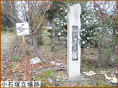 ���Β˗����