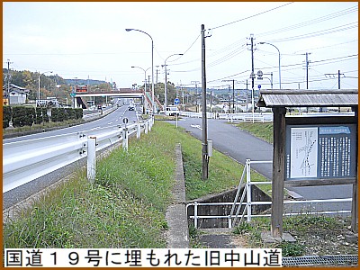 �����P�X���ɖ����ꂽ�����R��