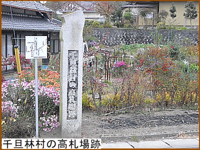 ��U�ё��̍��D���