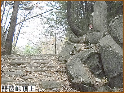 ���i������