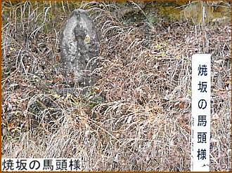 �č�̔n���l