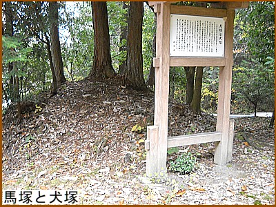 �n�˂ƌ���