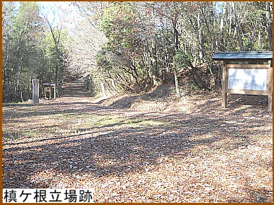 ���P�������